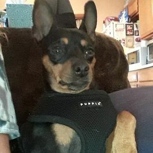 Meet your Posher, Kathy